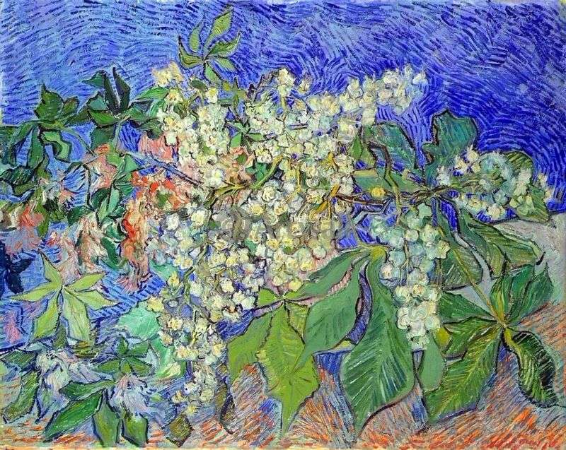  Цветущие каштановые ветви   Винсент Ван Гог