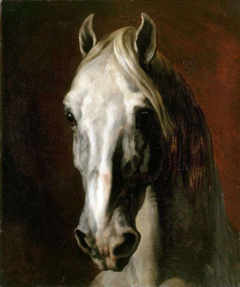 Голова белой лошади   Теодор Жерико