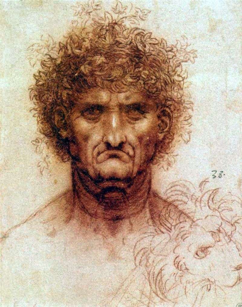  Голова человека и льва   Леонардо да Винчи