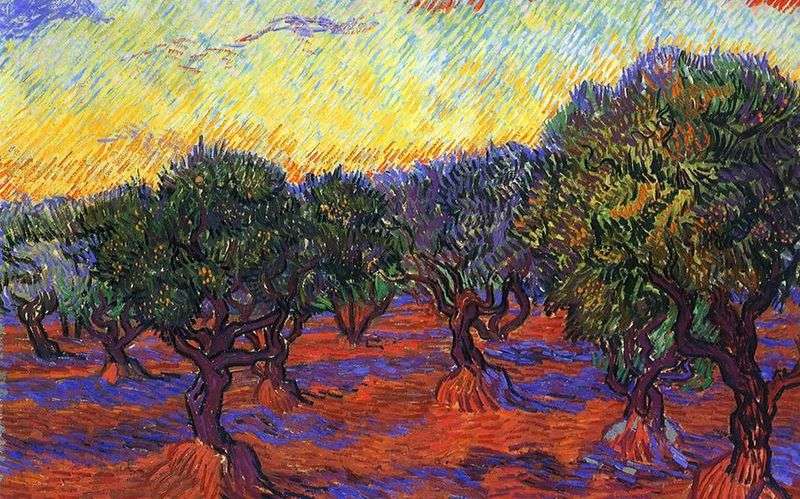  Оливковая роща: оранжевое небо   Винсент Ван Гог