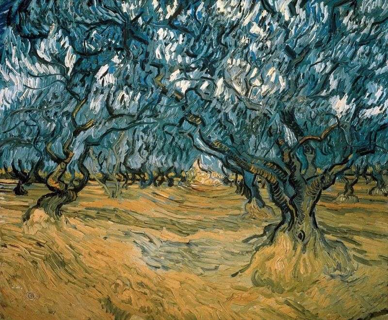  Оливковые деревья   Винсент Ван Гог