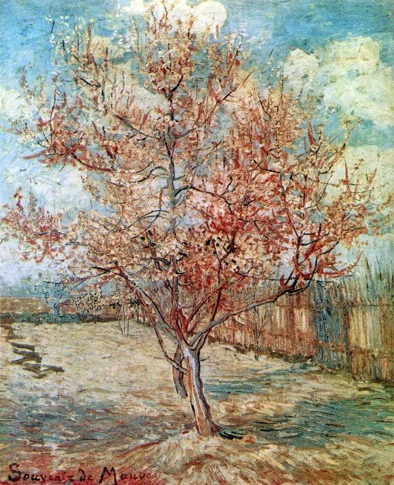  Персик в цвету   Винсент Ван Гог