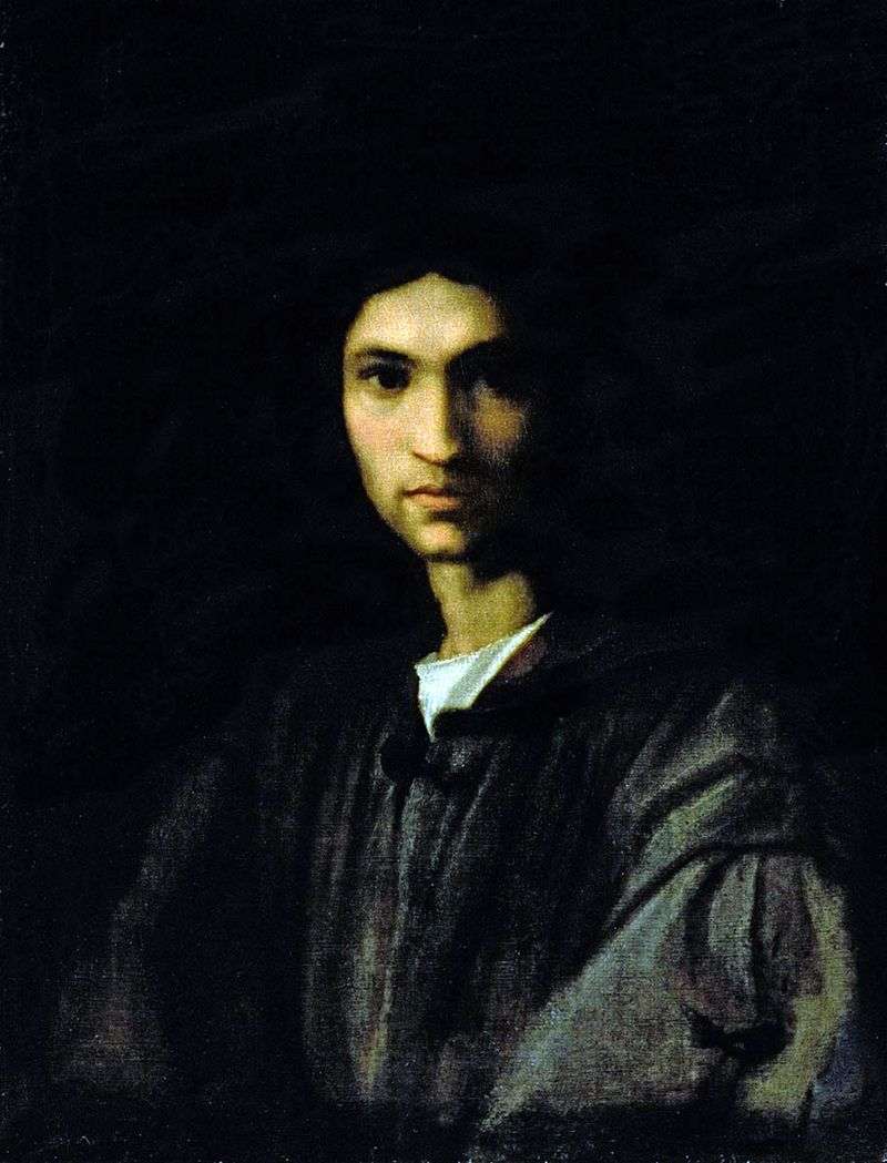  Портрет молодого человека   Андреа дель Сарто