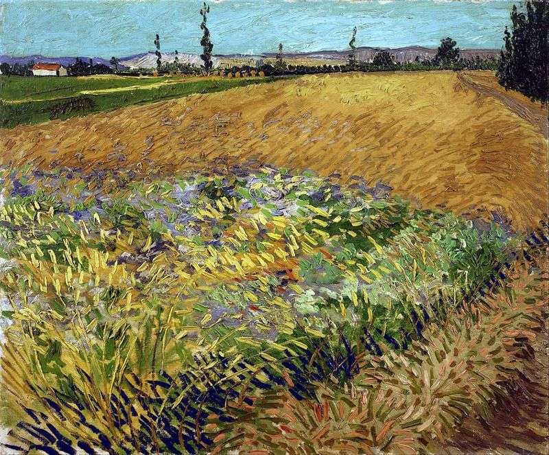  Пшеничное поле и предгорье Старых Альп на заднем плане   Винсент Ван Гог