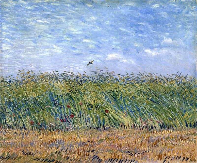  Пшеничное поле с жаворонком   Винсент Ван Гог