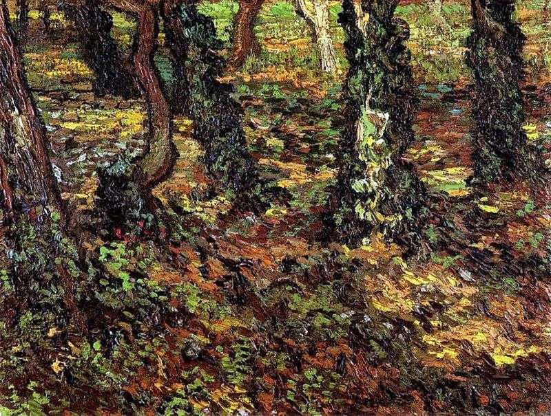  Стволы деревьев с плющом   Винсент Ван Гог