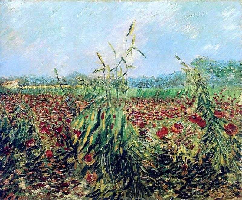  Зеленые колосья пшеницы   Винсент Ван Гог