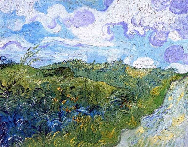  Зеленые поля пшеницы   Винсент Ван Гог