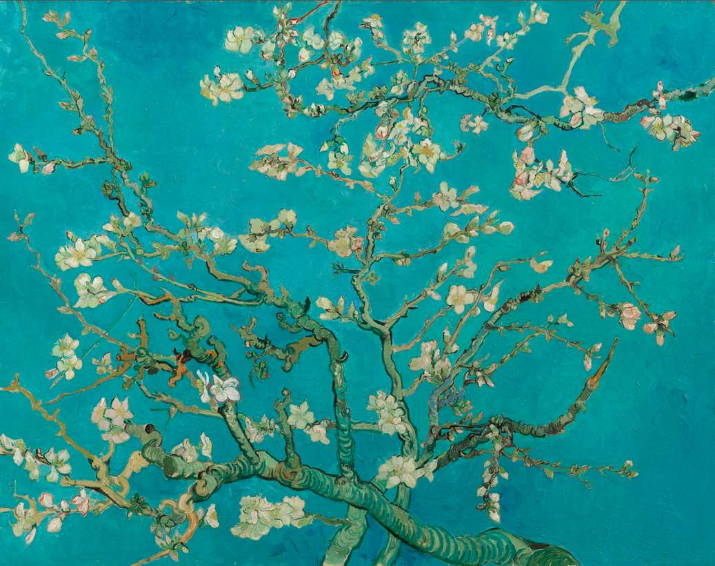  Цветущие ветки миндаля   Винсент Ван Гог