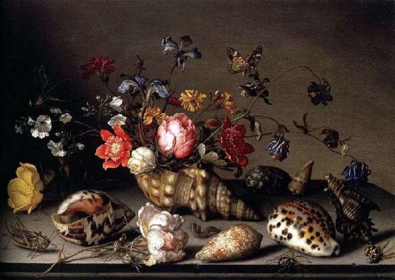  Натюрморт: цветы, раковины, и насекомые   Балтазар ван дер Аст